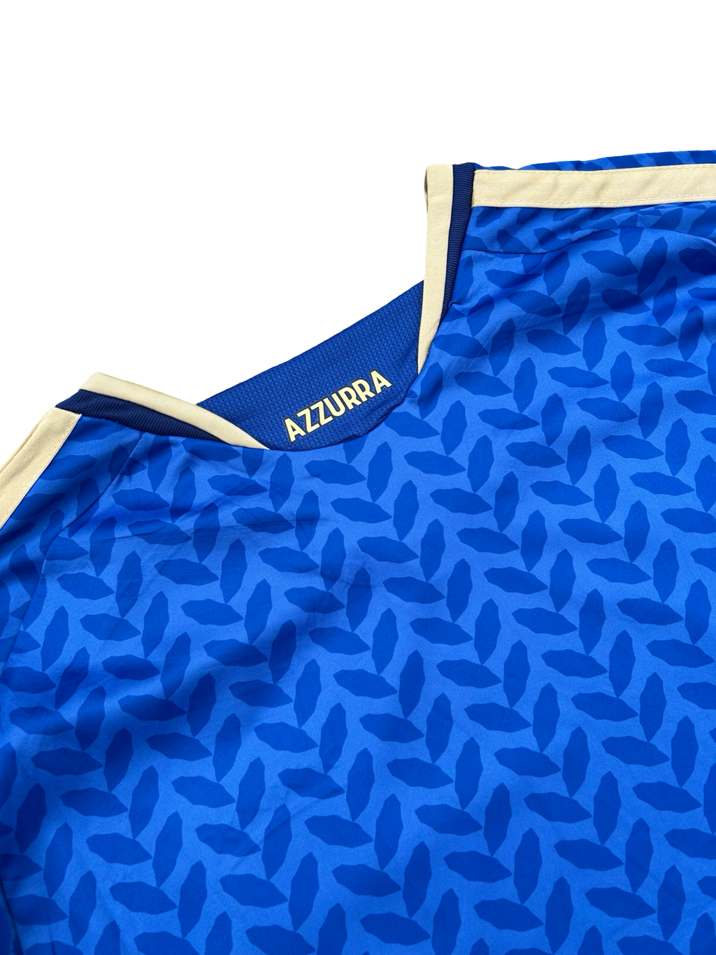 Camiseta Itália