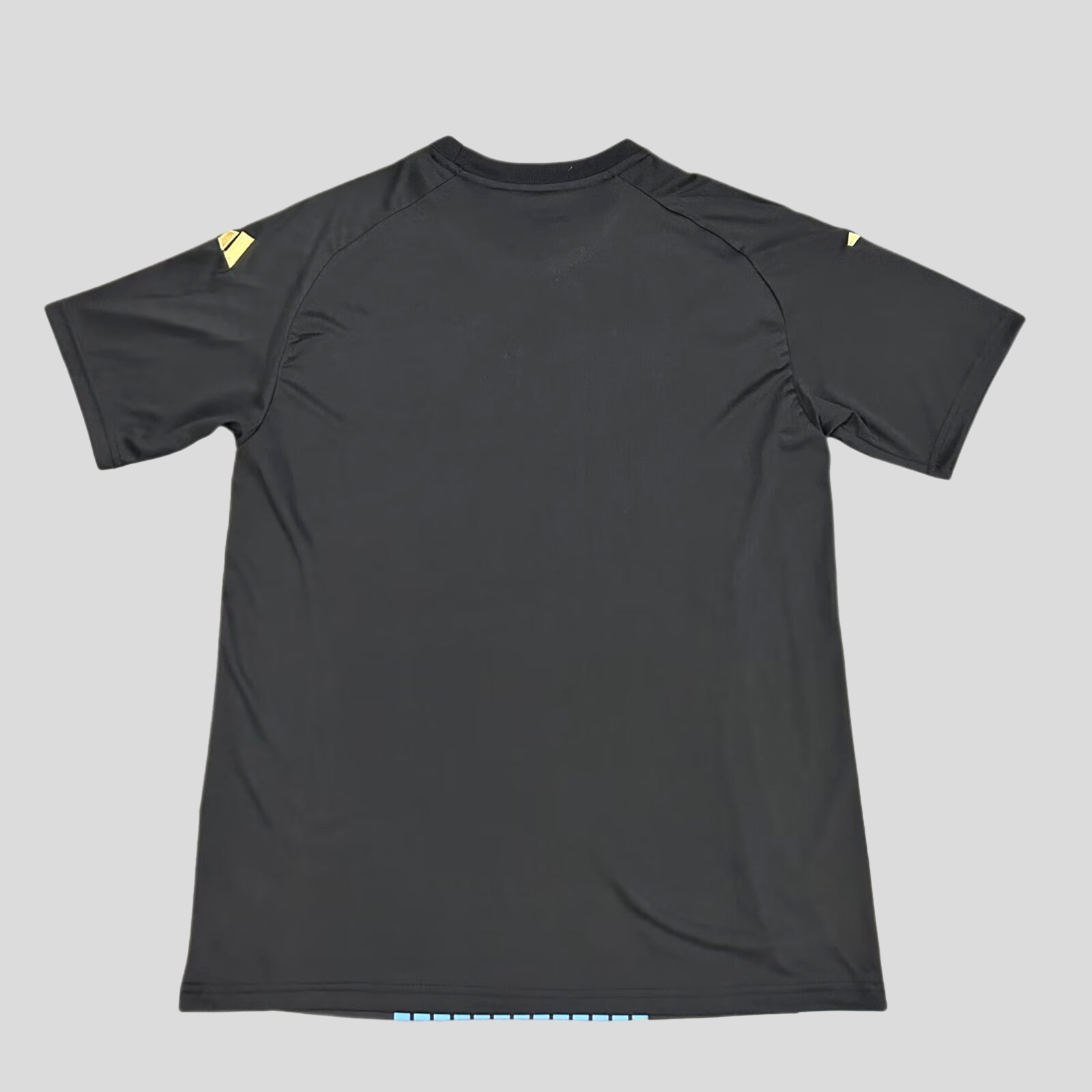 Camisa Alemanha Pré-Jogo 24/25