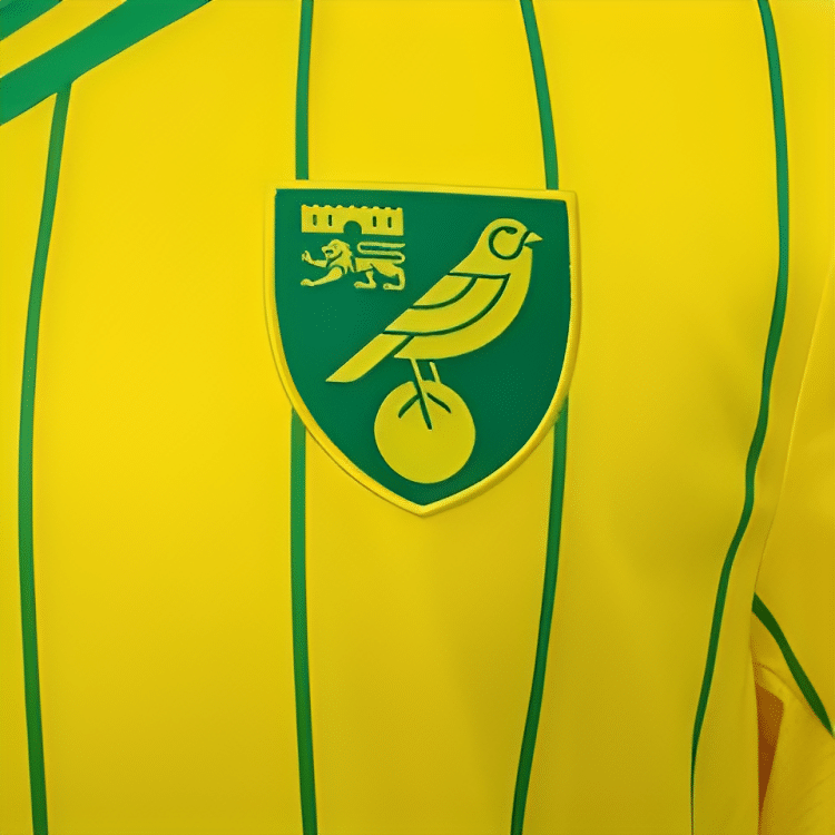 Camisa Norwich City I – 2022